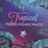 nail pigment palette