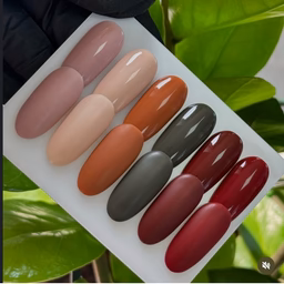 Luxio-Roulette-2_256x256_crop_center